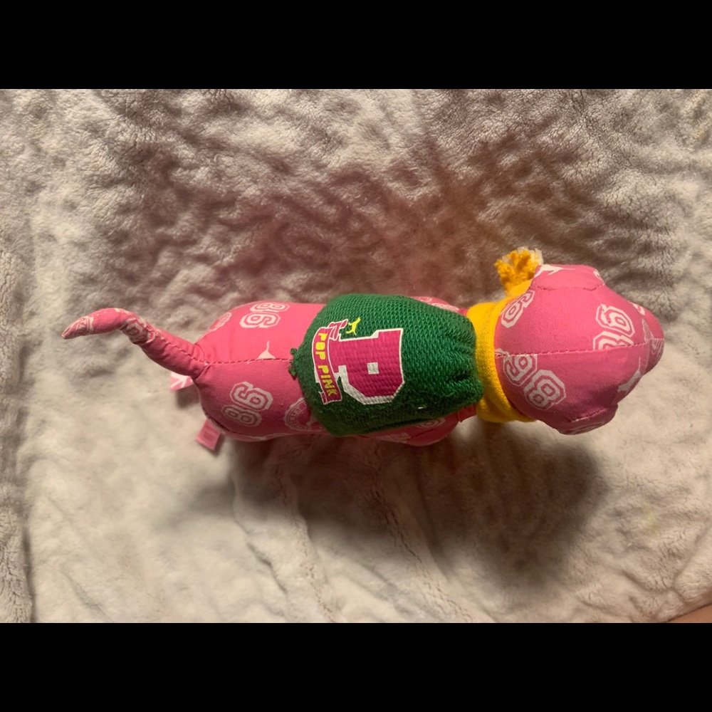 Pink vs dog - Picture 2 of 5